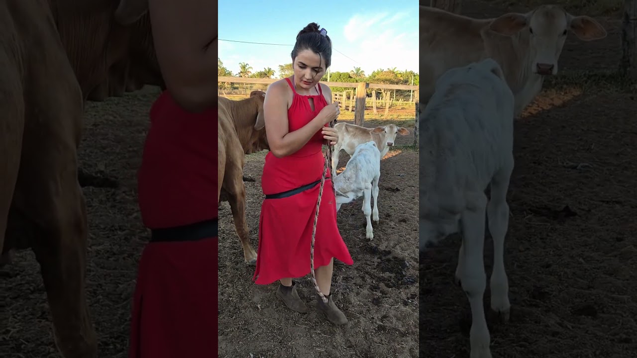First Time Milking a Cow on the Farm | Fresh Milk & Rural Life Experience 🐄🥛 #villagelife #cow