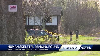 Human skeletal remains found in North Union Township