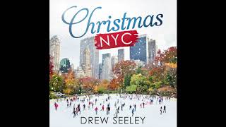 Christmas NYC (Drew Seeley)