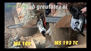 Stihl MS 180 vs MS 193 TC