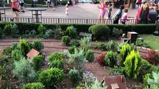 WDW Train at Epcot