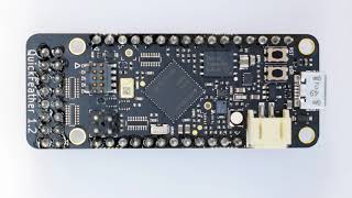 Getting Started with the QuickFeather Dev Kit and SensiML