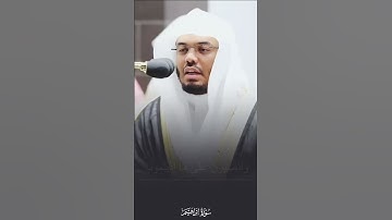 {وما لنا ألا نتوكل علي الله} تلاوة رائعة للشيخ ياسر #ياسر_الدوسري #قرآن