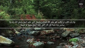 ايات مختارة من سورة البقرة (الربا والدين) من قناة أياتي أياتي HD