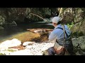 2018年6月西中国山地渓流釣行