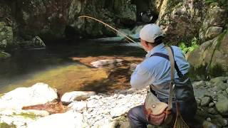2018年6月西中国山地渓流釣行
