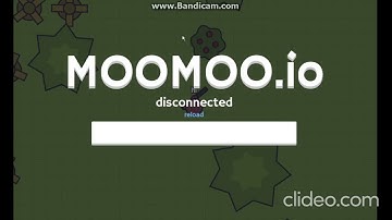 moomoo io sandbox server crash bots went too far