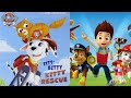 Kids Book Read Aloud Paw Patrol The Itty Bitty Kitty Rescue By Nickelodeon