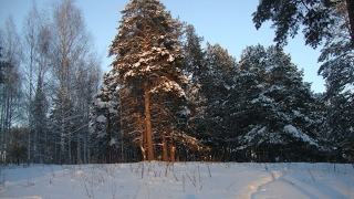 ⁣ЗИМНИЙ ДЕНЬ В ИЖЕВСКЕ, УЛИЦА РАКЕТНАЯ, ЗИМНЯЯ ЗАРИСОВКА, ИЖЕВСК ЗИМА