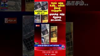 Karnataka Leopard Forest Viralvideo