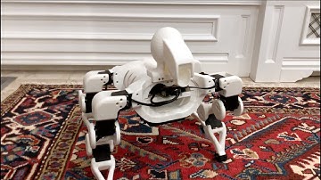 Robotics Studio @ Home: video diary