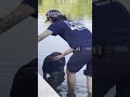 stranded German Shepherd Rescued From Fort Lauderdale Canal, Reunited With Owner