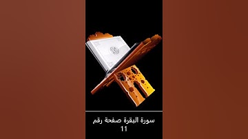 سورة البقرة صفحة رقم 11