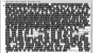Static Malware Analysis