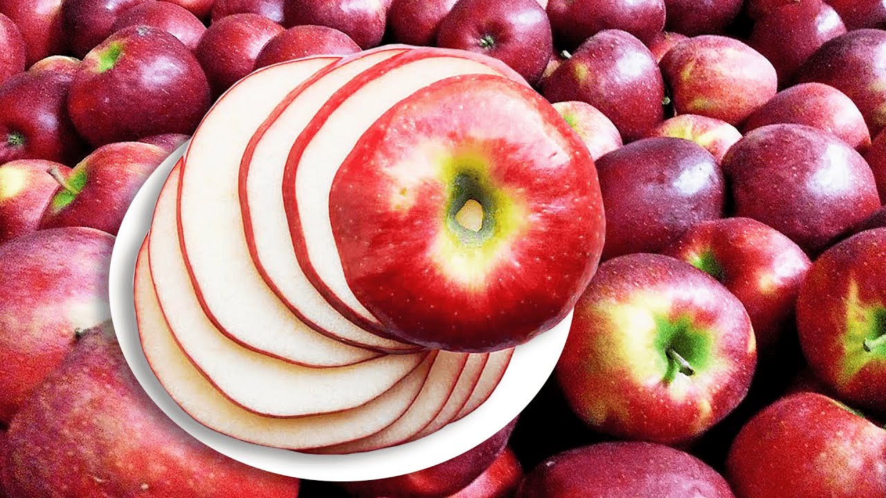 HOW to Cut Apples into Rings with a Knife | HOW to Slice Apples - YouTube