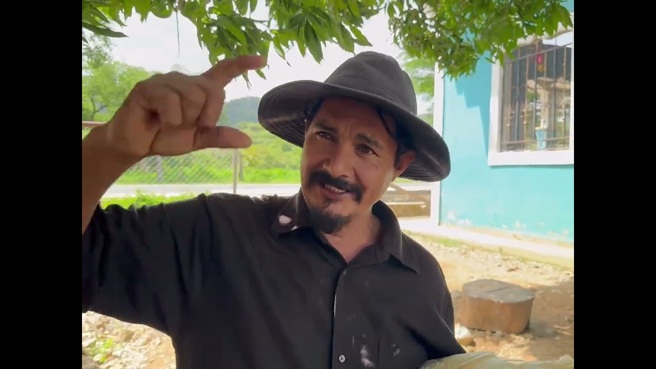 El misterio de las gallinas perdidas 🐓!