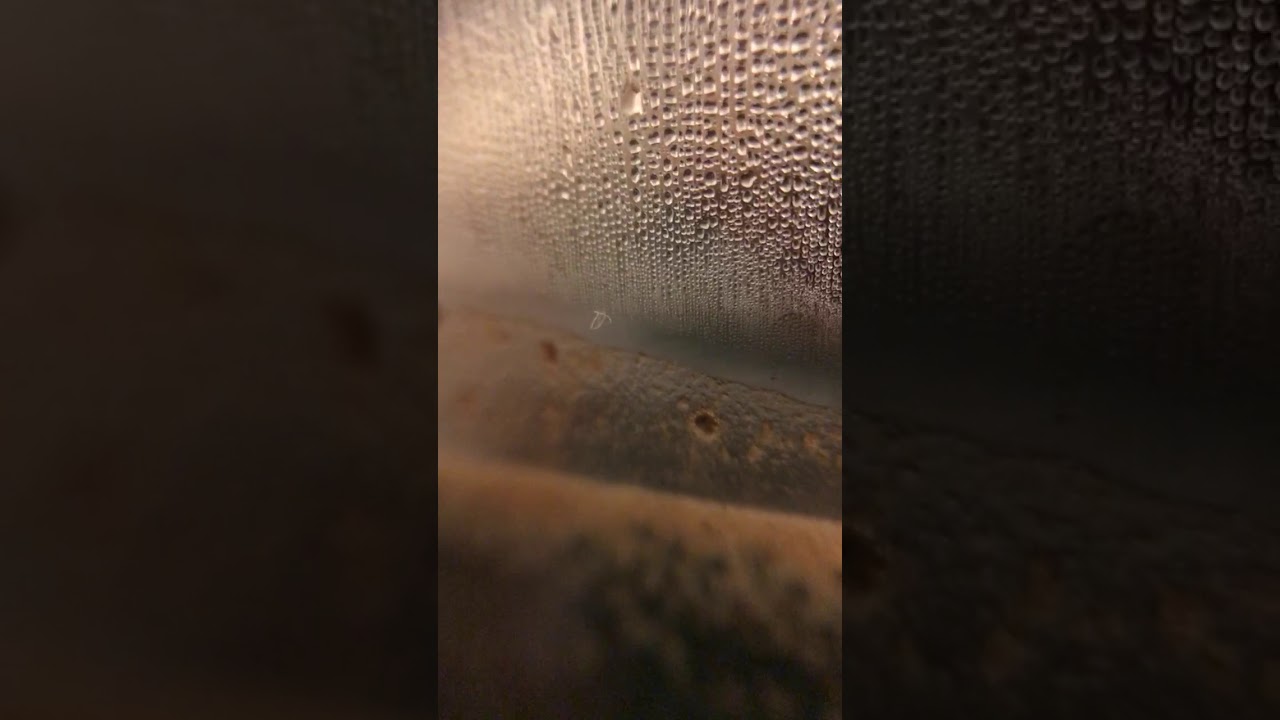 French Press - YouTube