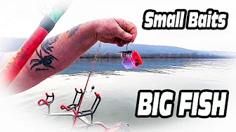 SMALL BUT DEADLY Catfish Baits That Will CHANGE Your Fishing Game