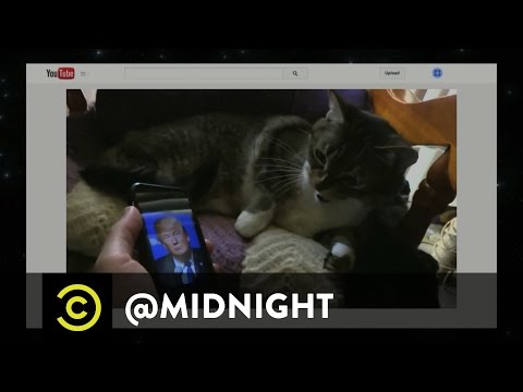 Cats Hate Donald Trump - @midnight with Chris Hardwick