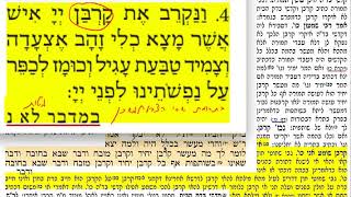 הדף היומי מסכת תמורה דף יג Daf yomi temurah daf 13