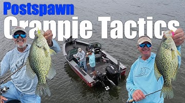 Catch More Crappie After The Spawn With These Secret Tips