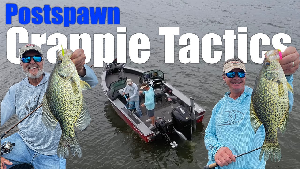 Big Bite Baits Lindner Panfish Special