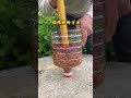 Method for pound chilli powder#chilli powder#Life skill