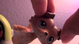Lps: More Than That (Season 3-Part 4)  {Gotcha}