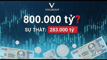Vingroup Và Sự Thật Về “800.000 Tỷ Nợ”: Hé Lộ Con Số Thực Tế
