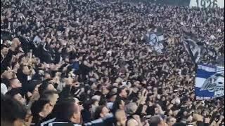 This is the moment when PAOK fans knew they are the Champions of Greece 2024 (Θύρα 4) PAOK Gate 4