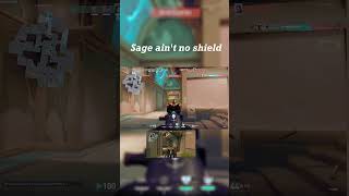 Valorant || Sage isn't just a Shield || #valorant #funny