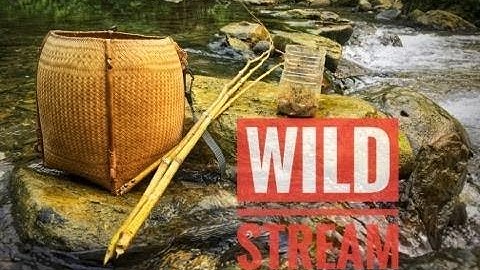 Trở về tuổi thơ câu cá bống suối -A sumo loach fishing in the stream