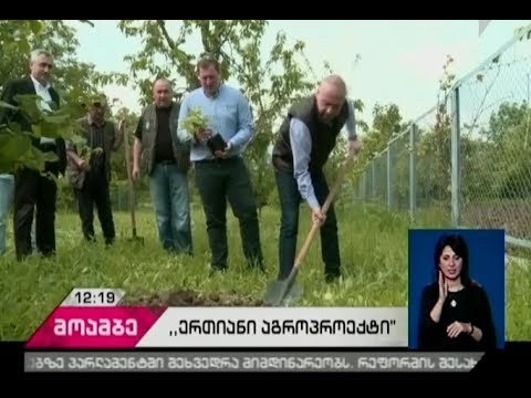 საქართველო გარემოს დაცვის მსოფლიო დღეს უერთდება