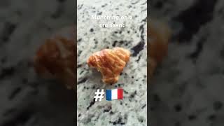 Got 37% More Fancier Lol