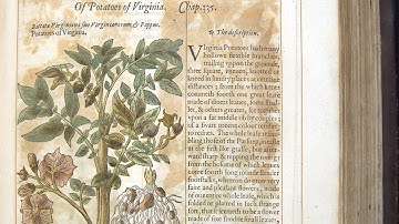 History of Science - 16th-Century Life Sciences- 10.4 Interpretation