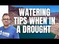 Watering tips during a drought  amslandscaping