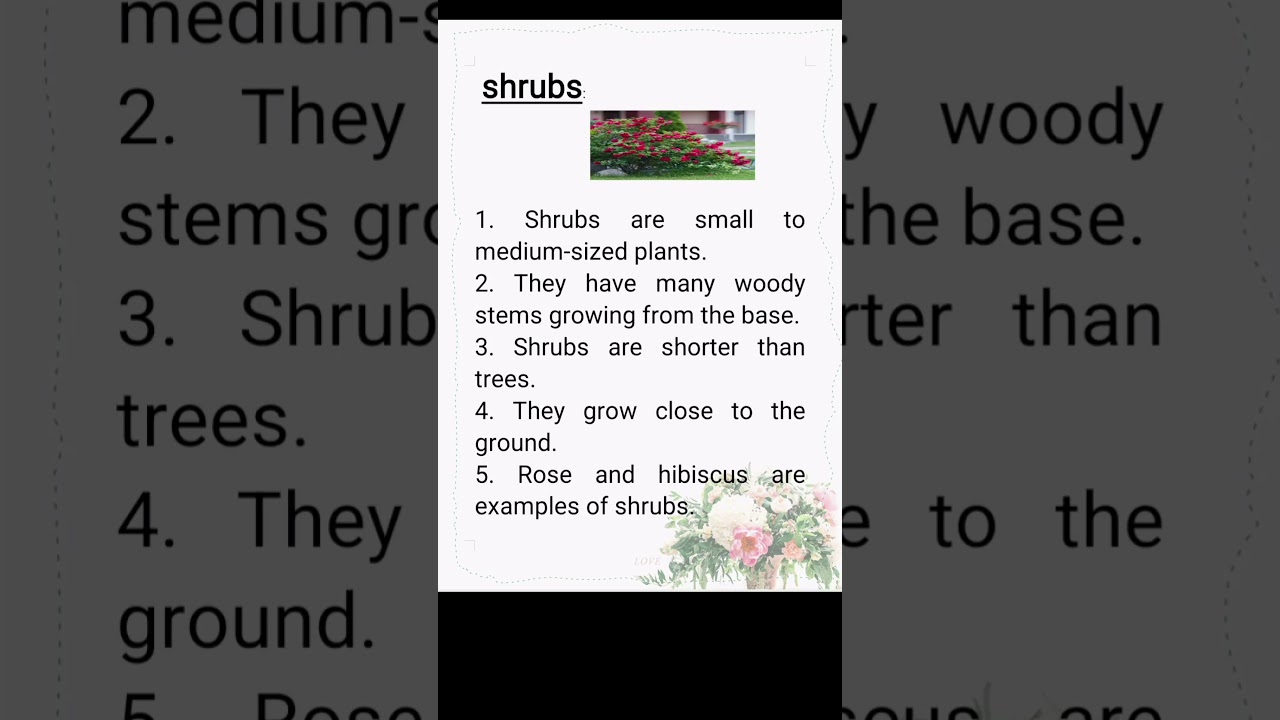 Information on shrubs ll 