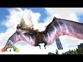 23 Ark 最後の光源生物グロウテイルをテイム 上層の洞窟攻略 Aberration アベレーション Ark Survival Evolved 公式pve مشاهدة وتحميل على الانترنت