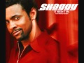 Shaggy It Wasn T Me Dj Bee Black 2012 Remix 