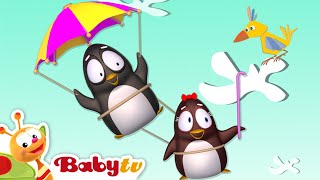 Pim & Pimba Les Pingouins | Parachute 🪂​ | @Babytvfr