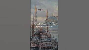﴿ إِنَّهُمْ كَانُوا لَا يَرْجُونَ حِسَابًا﴾[ النبأ: 27]   سورة النبأ  #قرآن #القرآن_الكريم #youtube