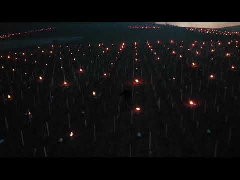 Fighting Frost With Fire! French Winemakers Use Hundreds of Candles To Fight Freezing Spring Temps!