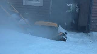 Honda GVC lawnmover 160cc Cold start -18°c
