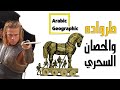 حرب طروادة والحصان السحري تاريخ وحضارات 