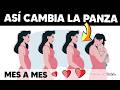 Evolución del EMBARAZO MES a MES 🤰🏼 ¿Cómo es la EVOLUCIÓN de la BARRIGA en el EMBARAZO?