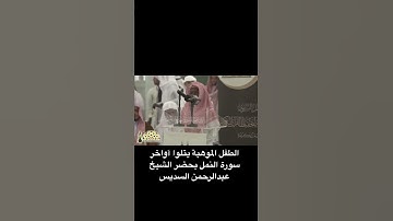 تلاوة عطره بصوت الموهوب / عامر احمد هوساوي