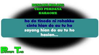 Download Perdana Trio Bungani Holong Karaoke Video MP3 Perdana Trio Bungani Holong Karaoke