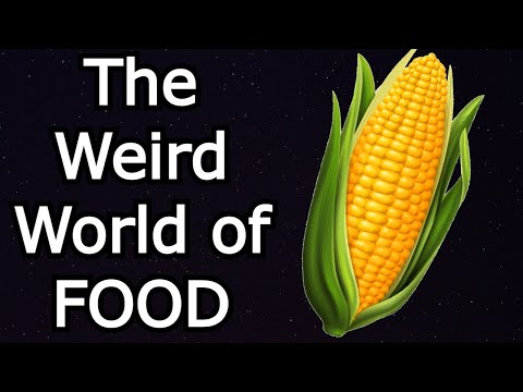 History of Everything: The Fun and Weird History of Food