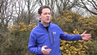 Mental Golf Tip for Holes You Don't Like