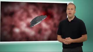 Asbestos Awareness